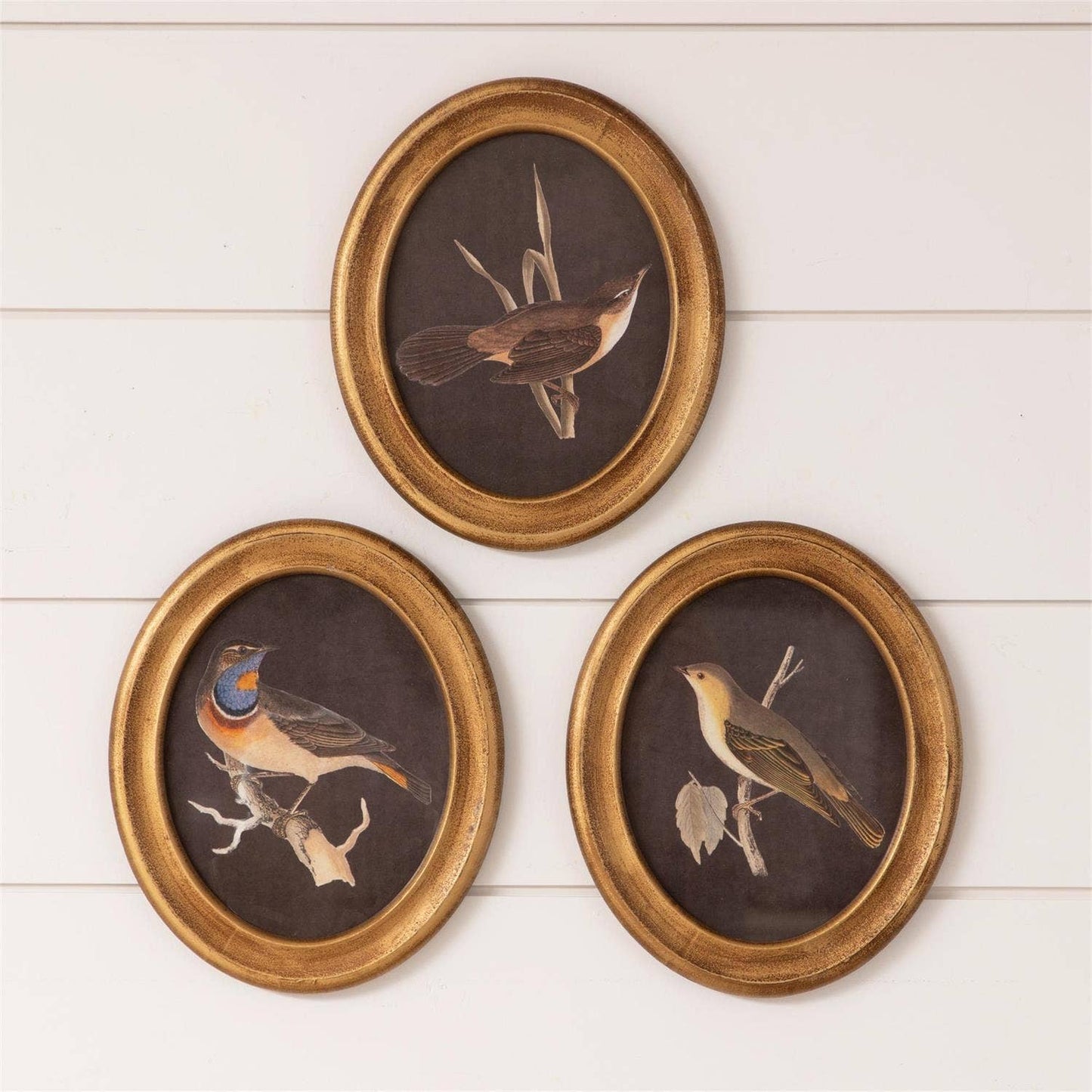Round Framed Prints - Gold Birds