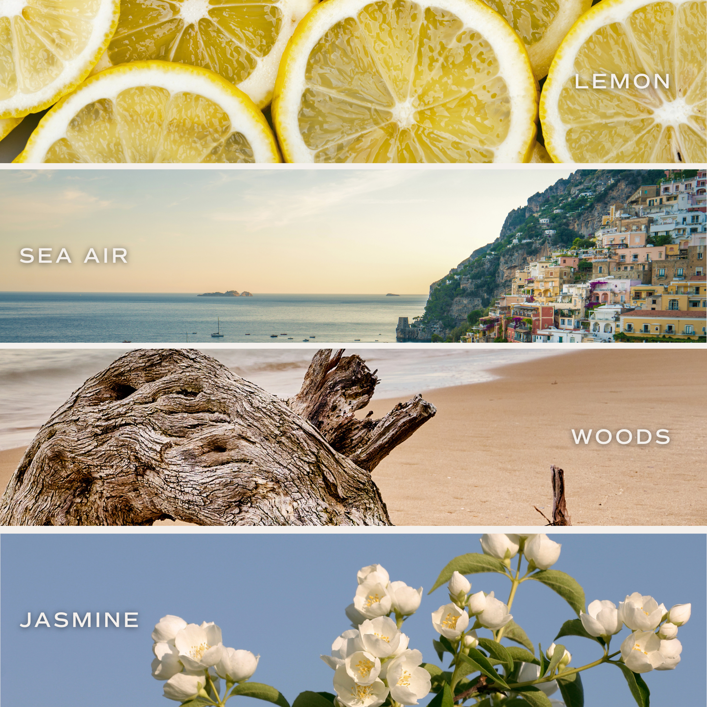 Coastal Lemon 11 oz Soy Candle