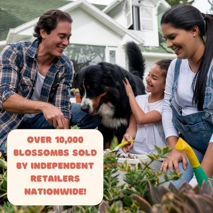 Blossombs Small Box - Dear Teacher-  7 Seed Bomb Balls