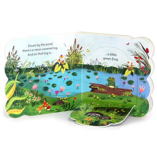 Little Green Frog Lift-a-Flap Board Book