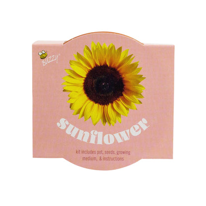 Buzzy Seeds Classic 7cm Terra Cotta Grow Kit -Sunflower