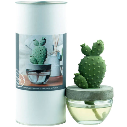 Cactus Ceramic Diffuser Gift Set