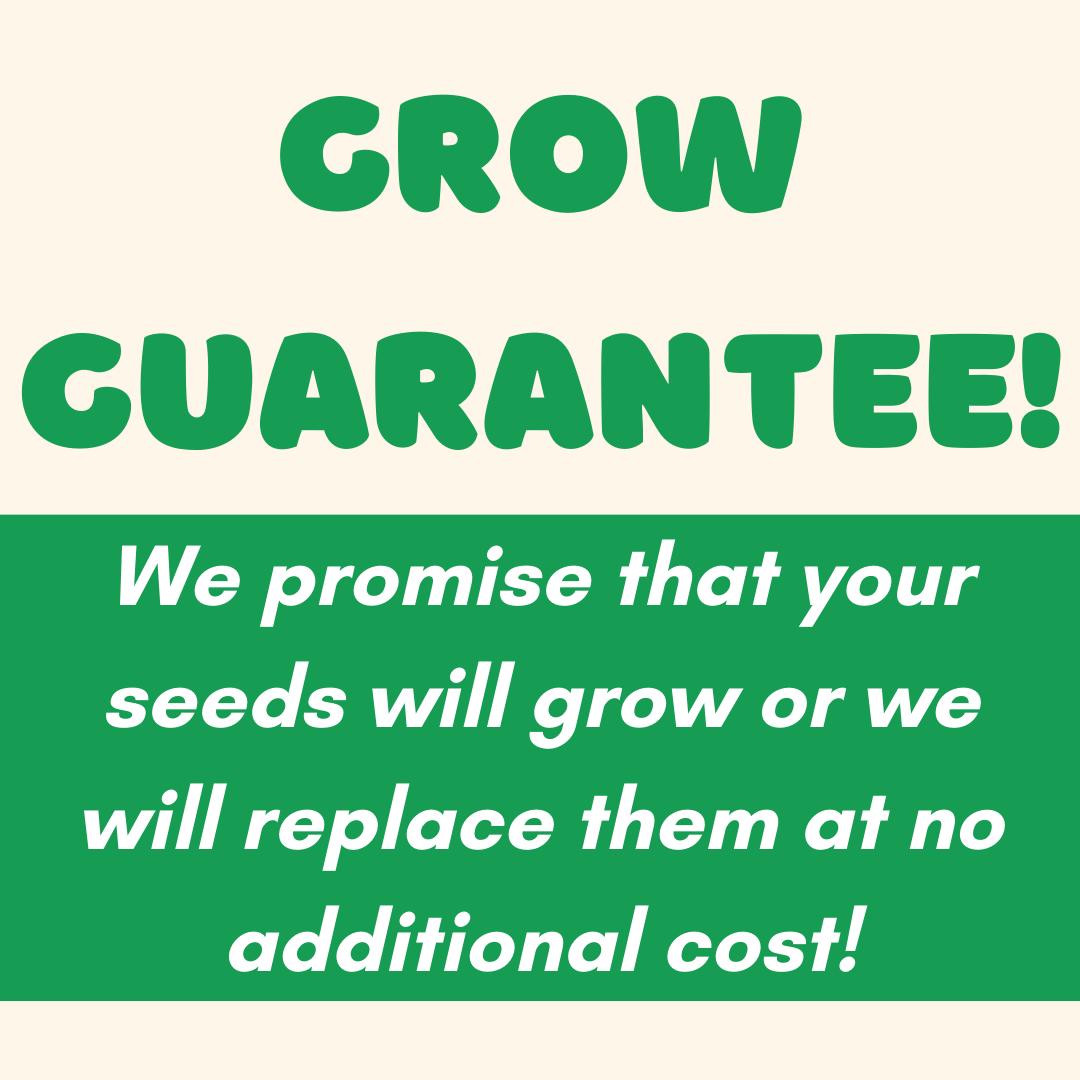 Blossombs Egg Box- Hello Spring- 7 Seed Bomb Balls