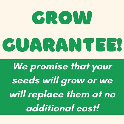 Blossombs Small Box - Dear Teacher-  7 Seed Bomb Balls