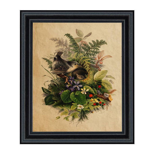 Birds in Nest Cottagecore Framed Reproduction Print