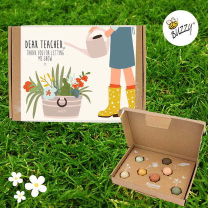 Blossombs Small Box - Dear Teacher-  7 Seed Bomb Balls