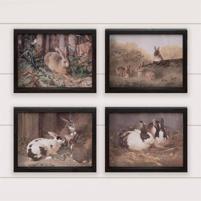 Framed Prints - Antique Rabbit