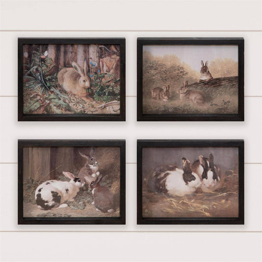 Framed Prints - Antique Rabbit