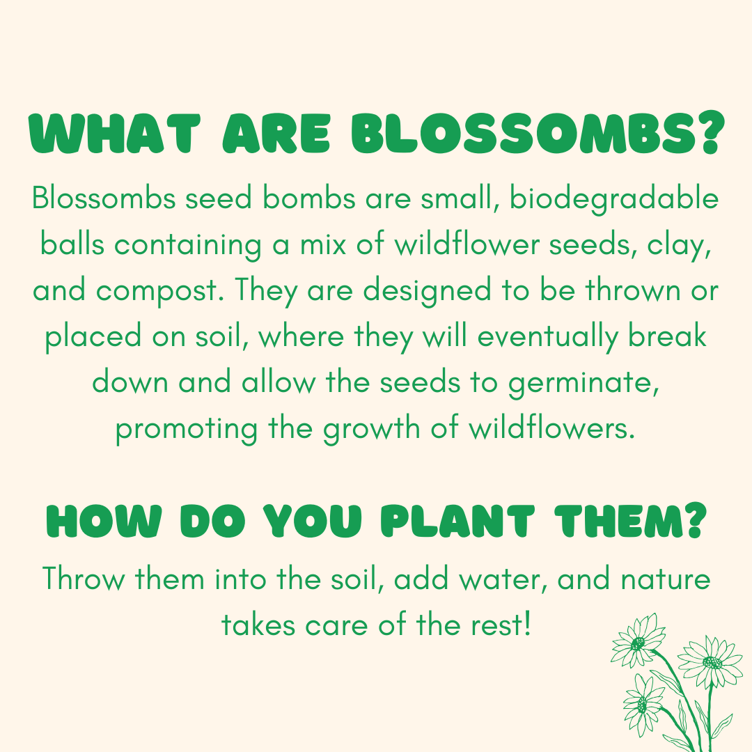 Blossombs Small Box - Dear Teacher-  7 Seed Bomb Balls