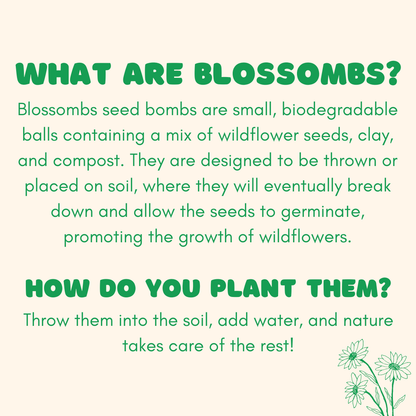 Blossombs Small Box - Dear Teacher-  7 Seed Bomb Balls