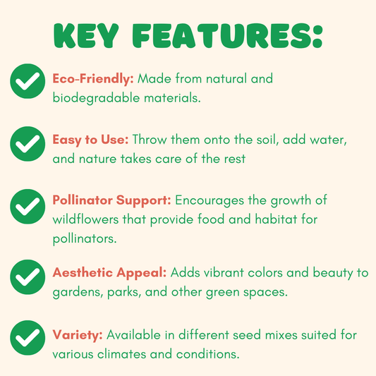 Blossombs Small Box - Dear Teacher-  7 Seed Bomb Balls