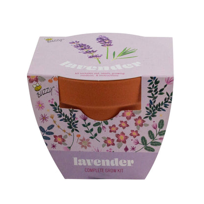 Buzzy Seeds Classic 7cm Terra Cotta Grow Kit - Lavender