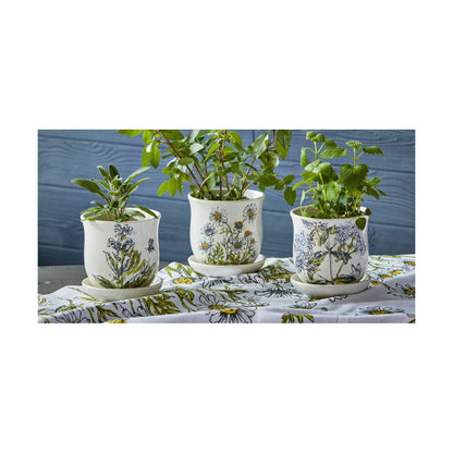 Oregano Planter W/ Saucer Set Multi Dolomite Summer