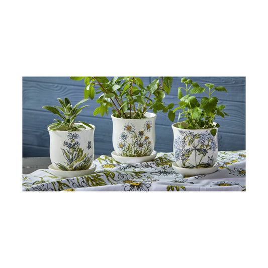 Oregano Planter W/ Saucer Set Multi Dolomite Summer