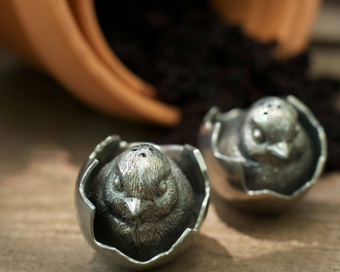 Chicks in Eggs Salt & Pepper Set