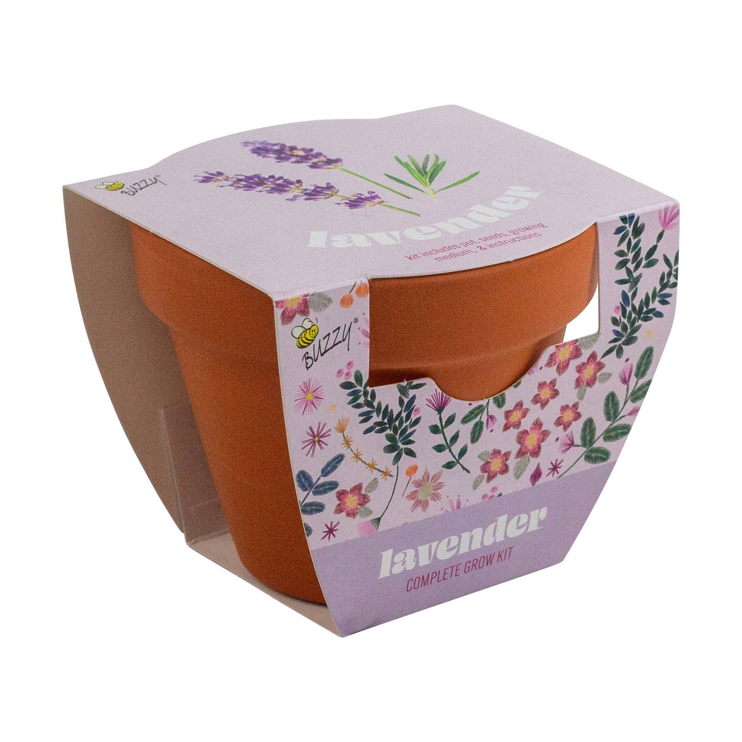 Buzzy Seeds Classic 7cm Terra Cotta Grow Kit - Lavender