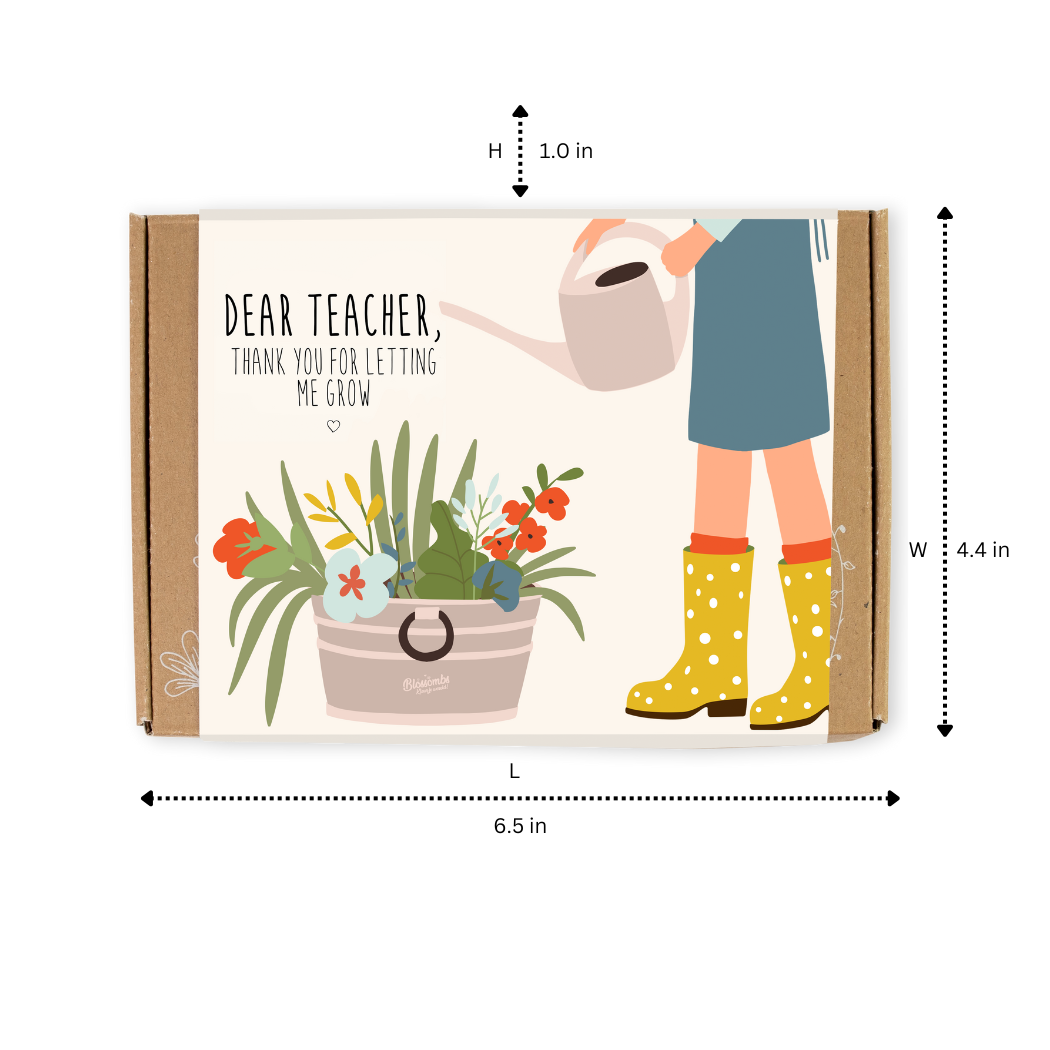 Blossombs Small Box - Dear Teacher-  7 Seed Bomb Balls