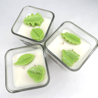 Bamboo & Coconut Soy Wax Candle