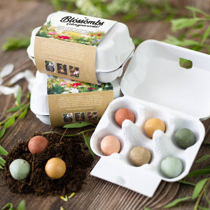 Blossombs Egg Box- Hello Spring- 7 Seed Bomb Balls