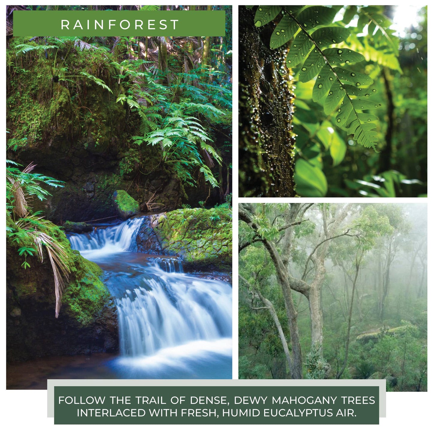 A Cheerful Giver - KOTL Baby Candle (6oz.) – Rainforest