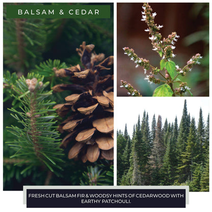 Balsam & Cedar Candle (34oz.)