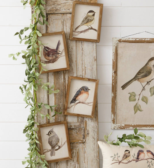 Framed Prints - Birds