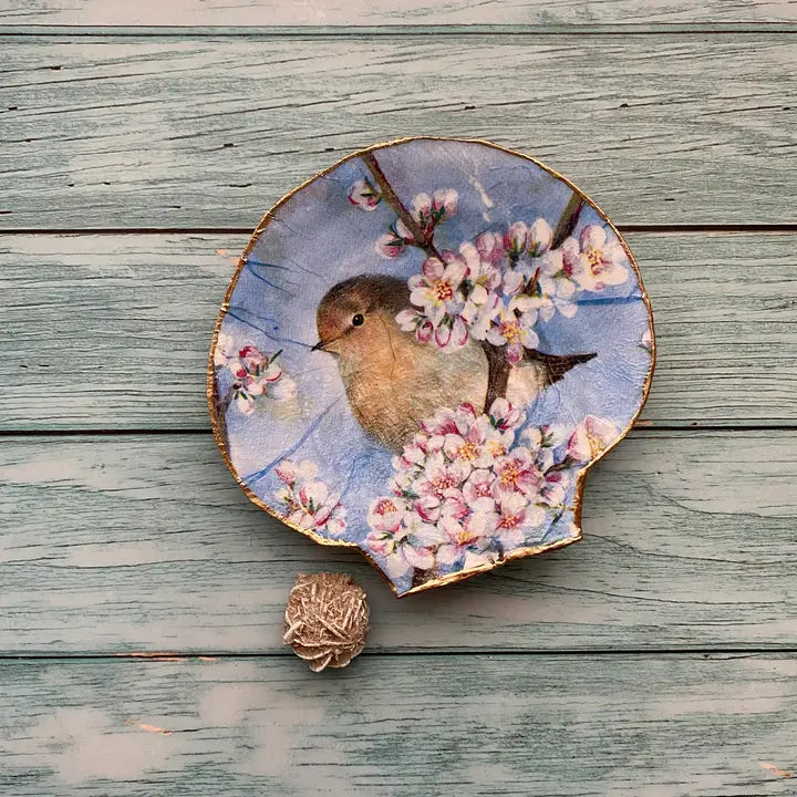 Conchas de serenidad "Pequeño pájaro cantor"