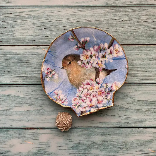 Conchas de serenidad "Pequeño pájaro cantor"