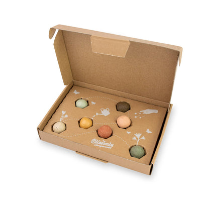Blossombs Small Box - Dear Teacher-  7 Seed Bomb Balls