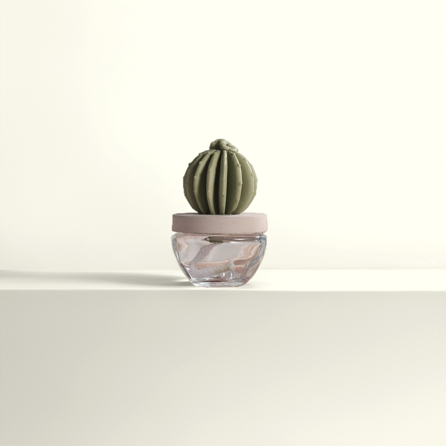 Cactus Ceramic Diffuser Gift Set
