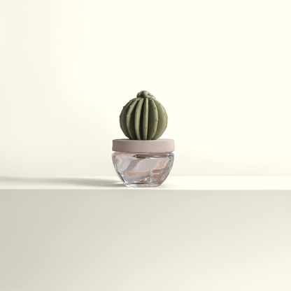 Cactus Ceramic Diffuser Gift Set