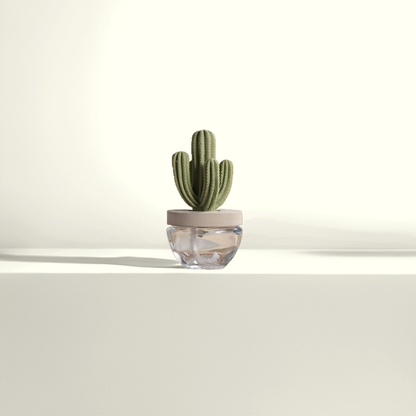 Cactus Ceramic Diffuser Gift Set