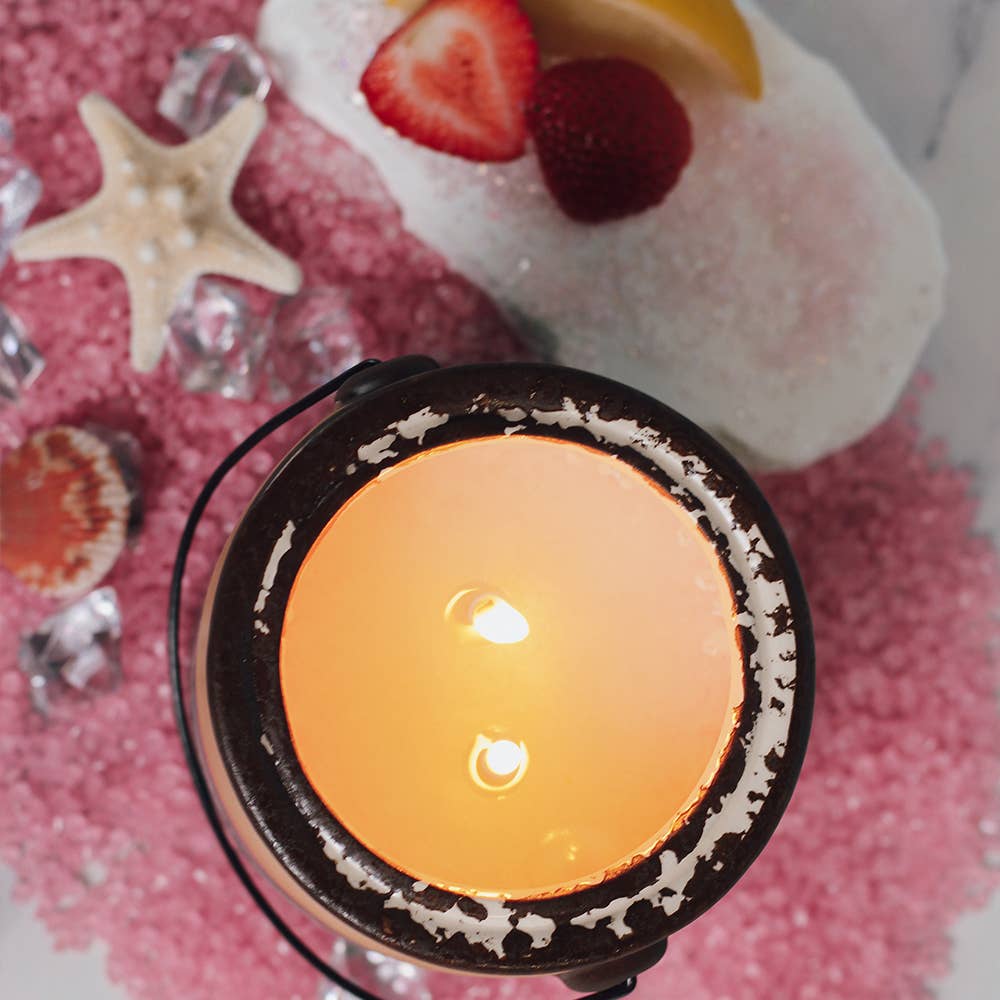 A Cheerful Giver - Farm Fresh Candle (20oz.) – Sunset Beach