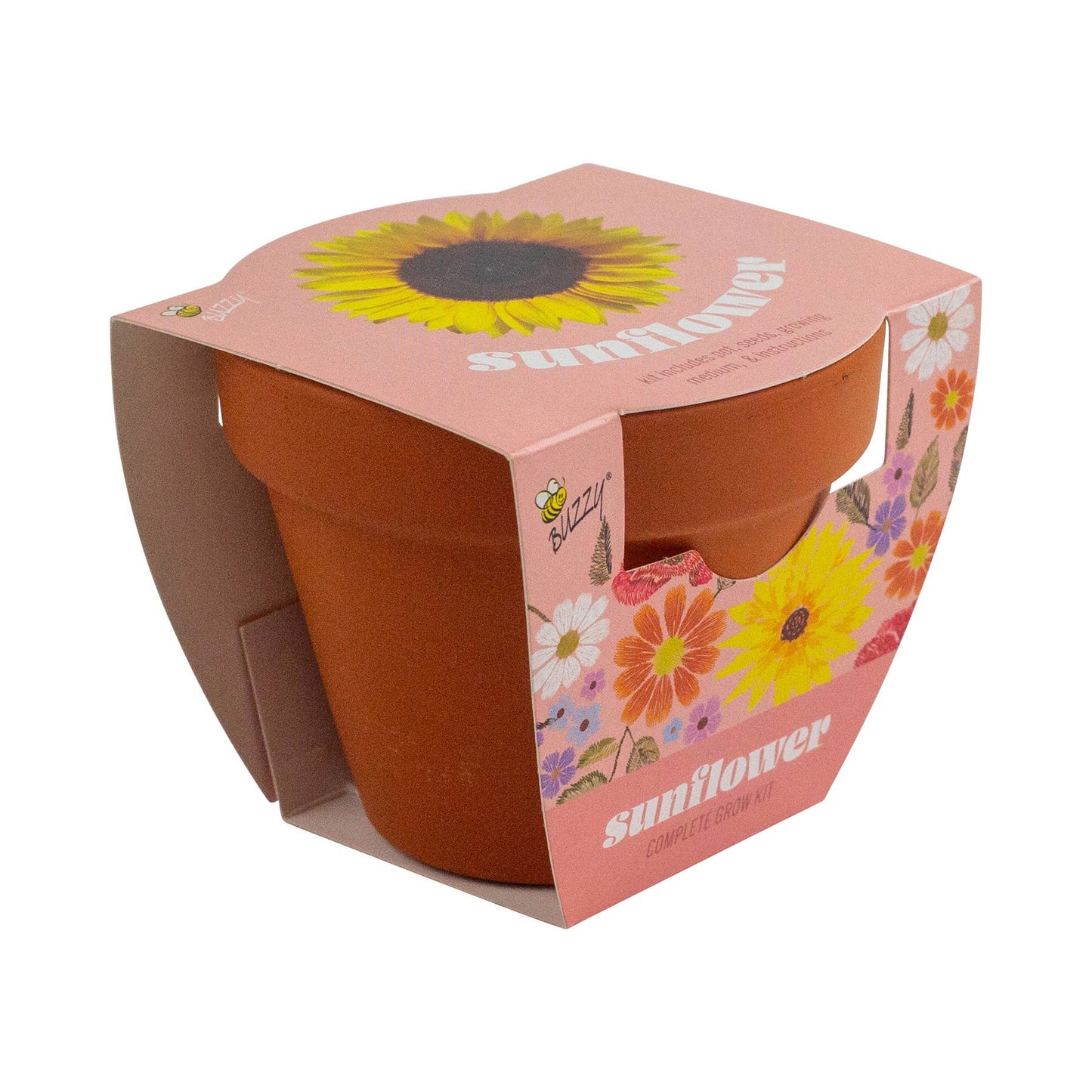 Buzzy Seeds Classic 7cm Terra Cotta Grow Kit -Sunflower