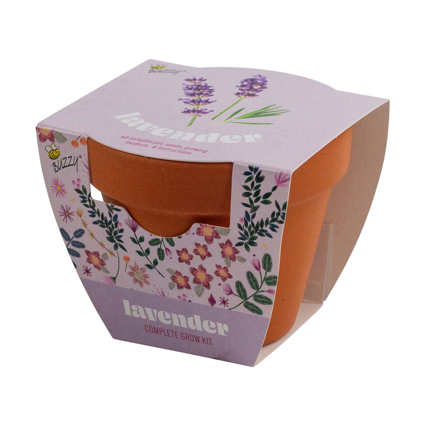 Buzzy Seeds Classic 7cm Terra Cotta Grow Kit - Lavender