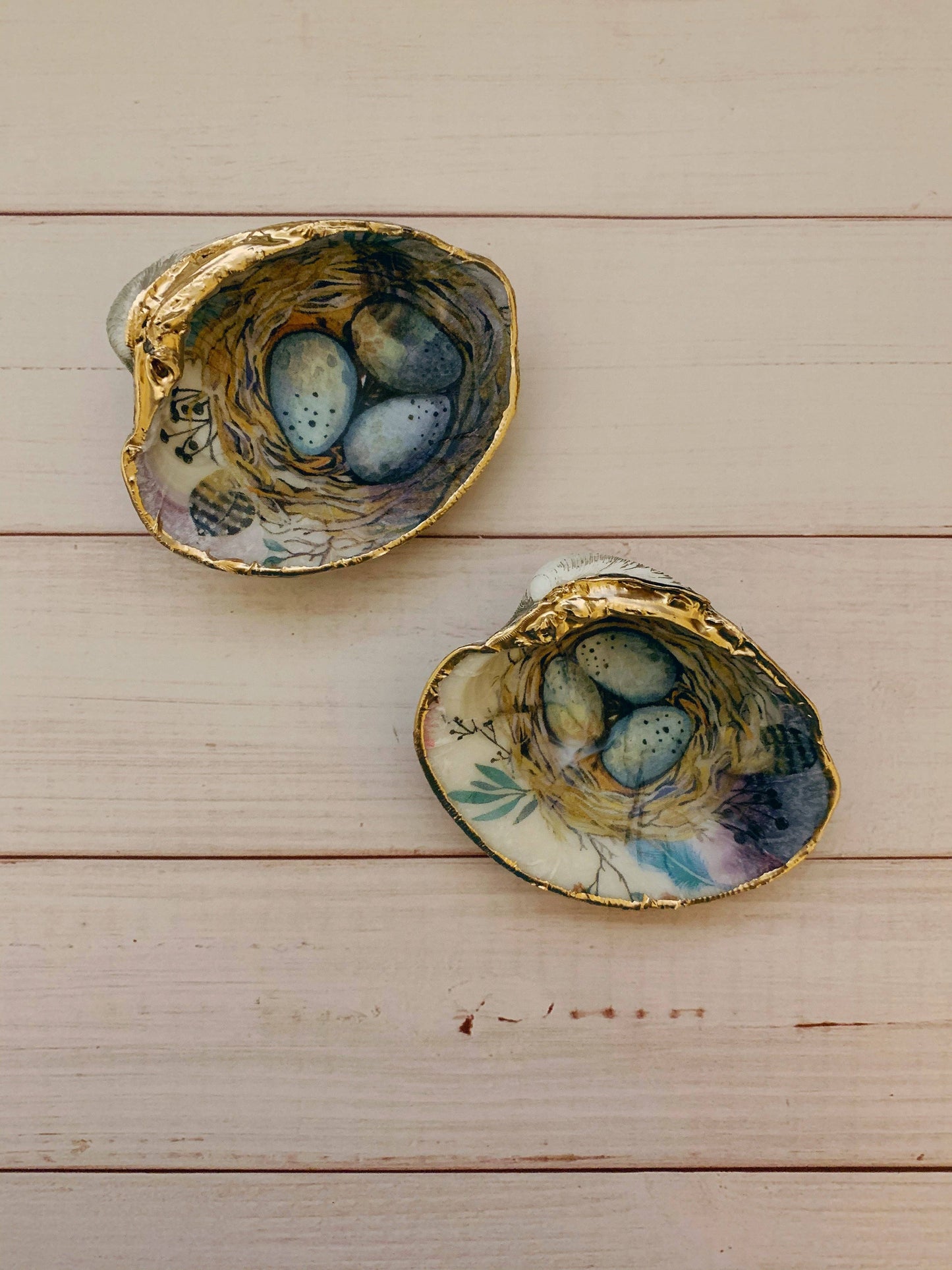 “Nest” Serenity Shells