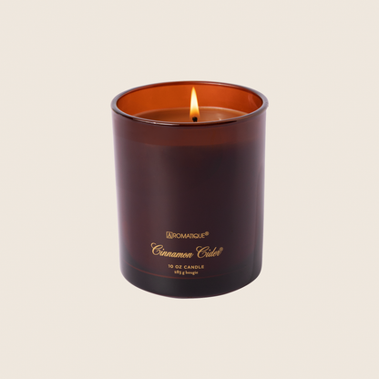 Cinnamon Cider - Foundry Candle 10oz